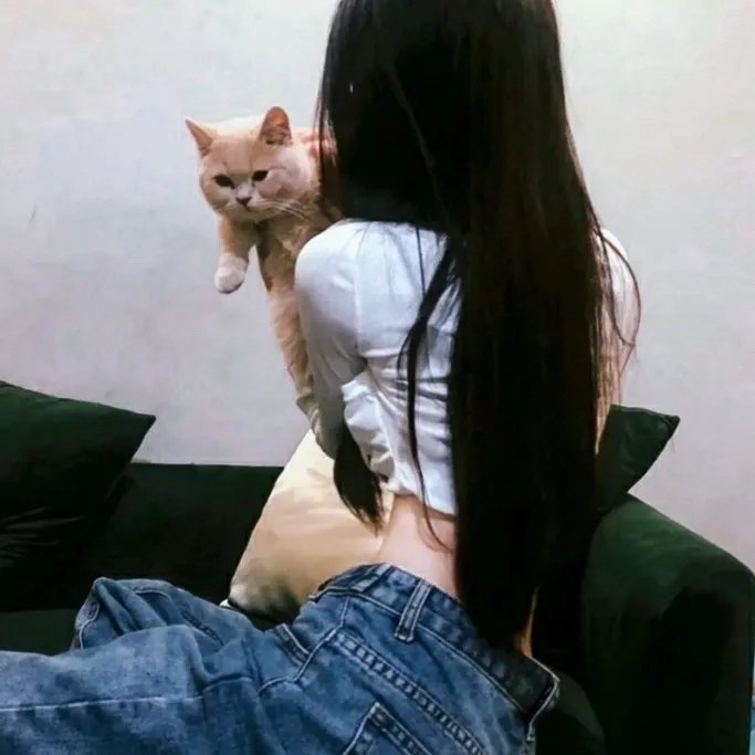 我可能不会爱你